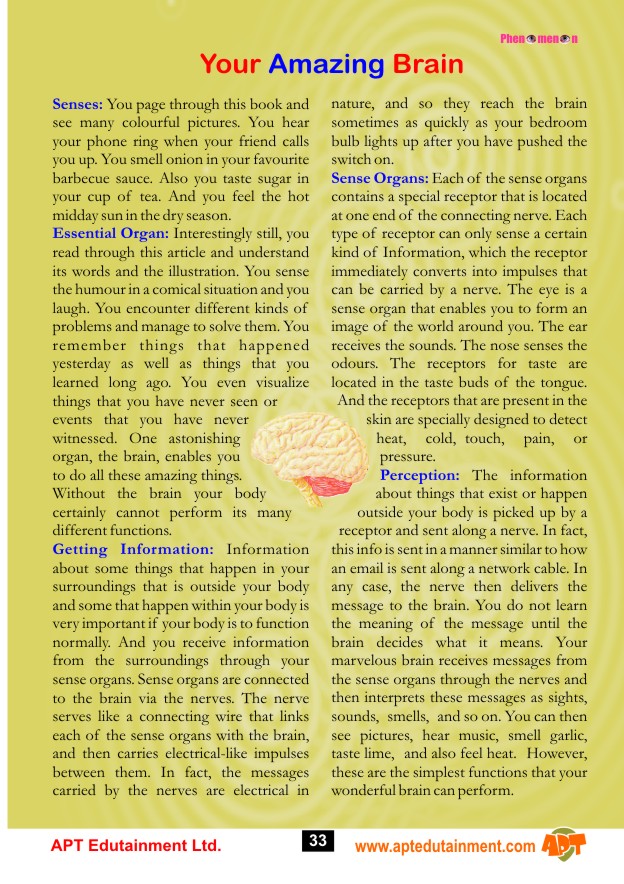 GO FOR THE TROPHY - Image 10